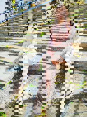 せり-image-(3)