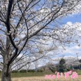 いずみ(24)ブログ04/18 00:00