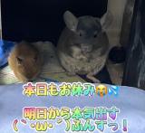 さき(27)ブログ04/22 00:00