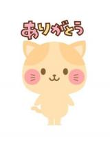 ねこさん(35)ブログ06/27 00:00