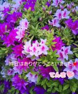 てんま(48)ブログ04/29 00:00
