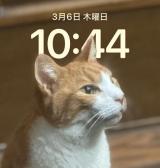 すず(30)ブログ03/06 00:00