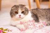 あさみ(43)ブログ04/28 00:00