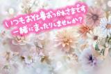 あさみ(43)ブログ04/16 00:00