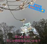 えーこ(22)ブログ04/12 00:00
