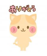 ねこさん(35)ブログ10/13 00:00