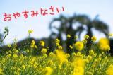 あさみ(43)ブログ04/28 00:00