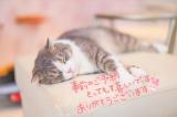 あさみ(43)ブログ04/27 00:00