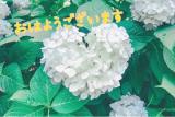 あさみ(43)ブログ04/24 00:00
