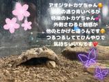 みく(30)ブログ05/02 00:00