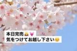 りあ(27)ブログ04/29 00:00