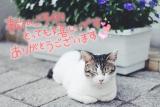 あさみ(43)ブログ04/25 00:00